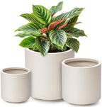 homenote 13.2/10.5/8.5 Inch Large Plastic Flower Pots with Drainage (3 Pcs) by HOMENOTE
