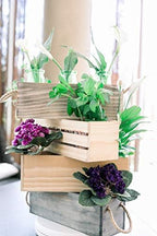 Wooden Planter Box with Handle, Rose Wood, Plastic Liner l Garden Decor l Restaurant and Wedding Decorations l Wedding Bouquets, Table Centerpiece, 12 x 4 Inches, (12x4 w Handle Set of 4, Rose Wood) - Image 5