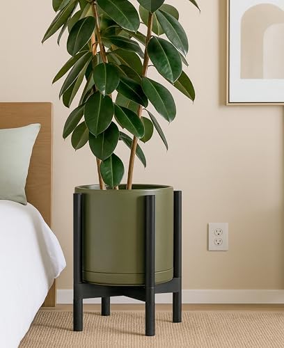 D'vine Dev Ceramic Pot with Ebony Wood Stand, Olive, 12 in, 55-B-H-J - Image 6