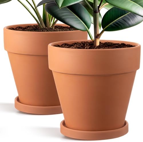 Maxdot 2 Pack 10 Inch Large Terracotta Pots with Saucer Terra Cotta Pots by Maxdot