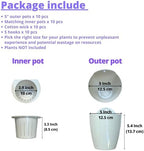 LaLaGreen Wall Planter for Indoor Plants (5in, 10 Pack) White Self-Watering - Image 2