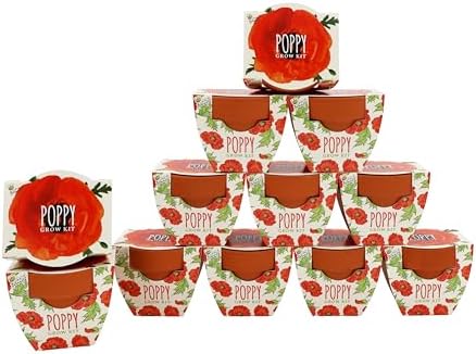 BUZZY Seeds Poppy Grow Kit 12-Pack, Mini Terracotta Pots, Indoor/Outdoor by BUZZY