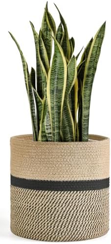 Dahey Macrame Plant Hanger and Plant Basket for Home Decor - Image 5