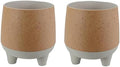 The HC Companies Orion Self Watering Planter - Lightweight Indoor Plastic Plant Pot for Herbs and Flowers (8" Muted Clay, Pack of 2) by TheHCCompanies