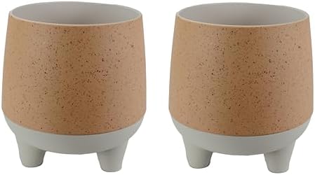 The HC Companies 6 Inch Orion Self Watering Planter - Lightweight Indoor Plastic Plant Pot for Herbs and Flowers, Muted Clay (2 Pack) by TheHCCompanies