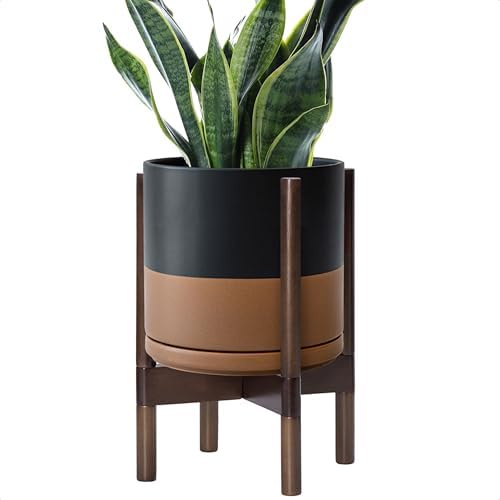 D'vine Dev Ceramic Pot with Walnut Wood Stand, Black/Tan, 10 in, 55-B-X-7 by DvineDevPlanterPotsandStand