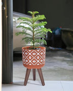D'vine Dev Planter Pot with Wood Stand, 8 in, Terracotta/White, 88-G-A-5 - Image 2