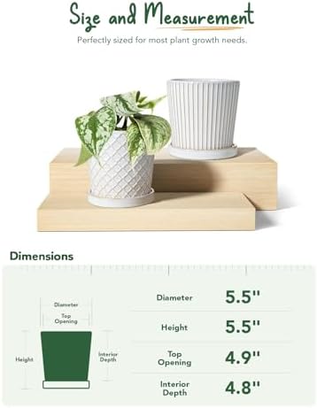 LE TAUCI Ceramic Pots for Plants, 5.4 Inch Plant Pots with Drainage Hole and Saucer, Indoor Plant Pots for Succulent, Snake Plants and Cactus, Flower Pots, Set of 2, Reactive Glaze White - Image 5