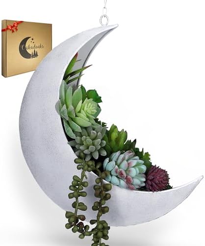 Hanging Moon Planter for Moon Room Decor - Great for Succulents, Air Plant, Mini Cactus, Faux, Artificial Plants-Boho Hanging Planters for Indoor Plants, Witchy Gifts for Women, Birthdays,Plant Lovers by Oakadoaks