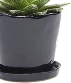 CHIVE ‘Tika’ Big Succulent Pot — 5” Cute Planter Pots for Indoor Plants — Beautiful Modern Decor for Home & Kitchen — Midnight Blue - Image 2