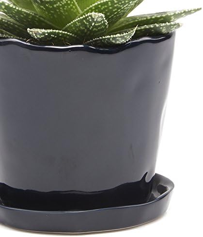 CHIVE ‘Tika’ Big Succulent Pot — 5” Cute Planter Pots for Indoor Plants — Beautiful Modern Decor for Home & Kitchen — Midnight Blue - Image 2