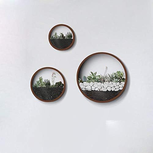 3 Pack Set Wall Planters,Modern Round Glass Wall Planter Succulent Planter Circle Iron Hanging Planter Vase for Herb,Small Cactus Perfect for Balcony, Room and Patio Decor (Coffee) by VEVLU