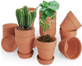 4 Inch Clay Pot for Plant with Saucer, Flower Pot with Tray, 12 Pack Small Terra Cotta Plant Pot with Drainage Hole, Terracotta Pot for Indoor Outdoor Plant, Great for Plants (4inch 12Pack) by CUZZME