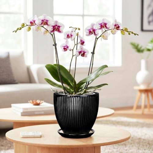 6 Inch Ceramic Planter, Indoor Plant Pots with Saucer, Black - Image 3