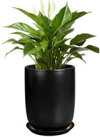Ceramic Planter 8 Inch - Plant Pot for Indoor Outdoor Plants Cylinder Flower Pot with Drainage Hole and Saucer Black by SUNPOTFOR