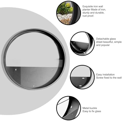 3 Pack Set Wall Planters,Modern Round Glass Wall Planter Succulent Planter Circle Iron Hanging Planter Vase for Herb,Small Cactus Perfect for Balcony, Room and Patio Decor (Black) - Image 2