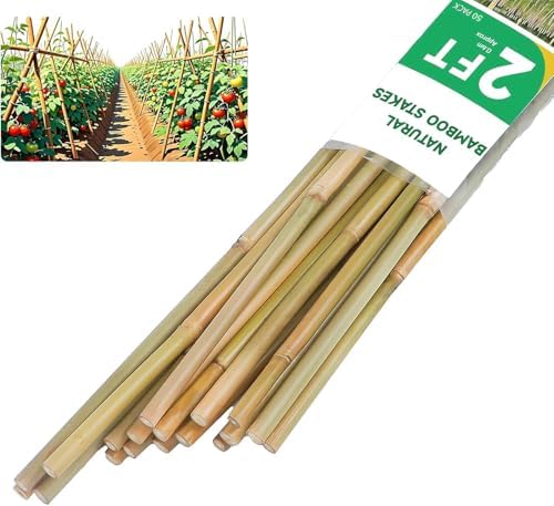 Natural Bamboo Plant Stake（3FT 50Pcs） Sturdy Bamboo Poles, Durable Plant Bamboo Stake, Garden Climbing Plant Bracket. by Groovboo