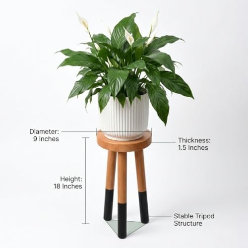 Wood Plant Stand, Indoor Plant Holder, Wooden Pot Stand for Plants - Image 2
