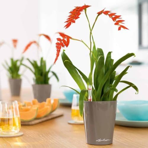 Lechuza MINI-DELTINI Shiny Taupe High Gloss, Self-Watering Small Indoor Planter, H5.1 L3.9 W3.9 in - Image 2