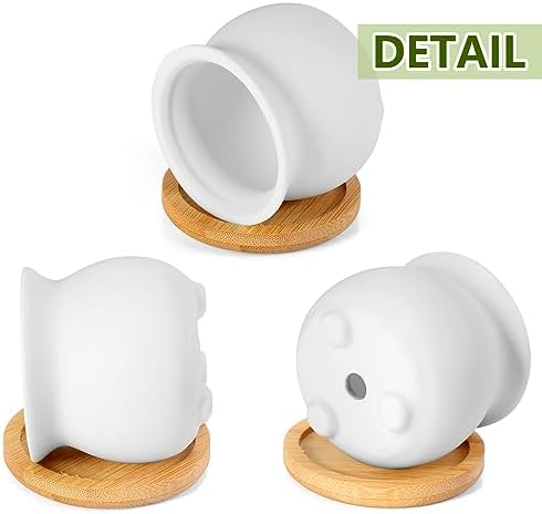 Remerry 12 Pcs 2.5 Inch Mini DIY Ceramic Succulent Pots with Bamboo Tray - Image 6