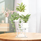 Jusalpha Clear Acrylic Corner Plant Stand, 3-Tier, Indoor Display Shelf for Plants and Flowers, 11 Pounds Load Capacity - Image 5