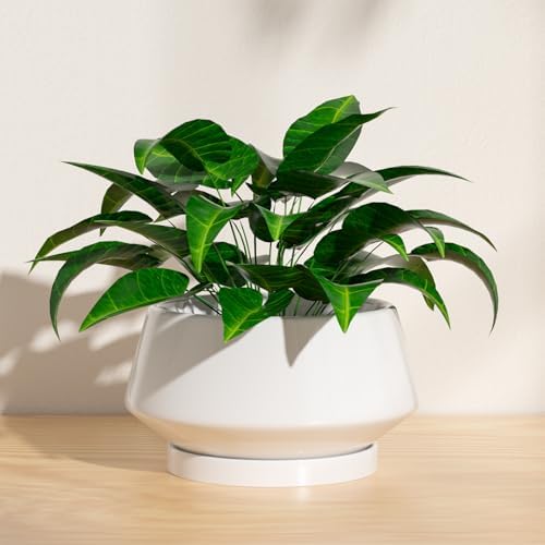 10 Inch White Ceramic Planter with Drainage Hole and Saucer - Image 4