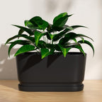 13" Rectangular Ceramic Planter with Drainage and Saucer, Black - Image 4