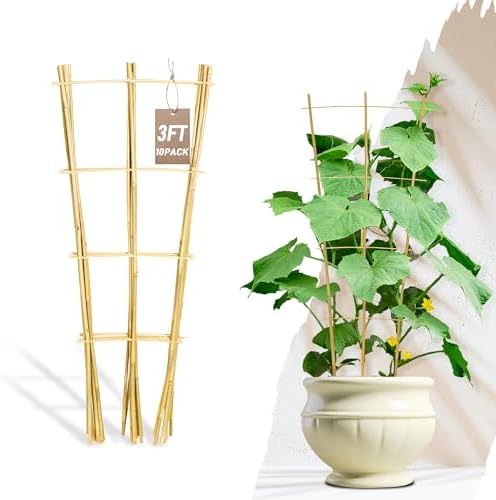 Avalution 10 Pack Bamboo Trellis for Climbing Plants, 3 FT Garden Ladder Trellis for Potted Plants Indoor, Fan-Shaped Small Plant Support Trellis for Houseplants Ivy Hoya Vine Monstera by Avalution