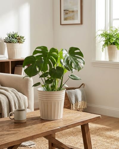 vensovo 6 Inch Beige Metal Rustic Flower Pots - 6Pcs Galvanized Planters with Drainage Hole and Rubber Plug, Rustproof Metal Bucket Plant Pots Farmhouse Vintage Style for Decor - Image 4