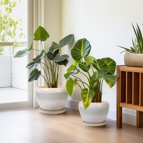 Ceramic Flower Pots, 10+8+6 Inch Ceramic Planters, White-Grey - Image 5