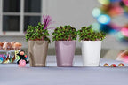 Lechuza 14955 Mini Deltini Self-Watering Garden Planter, Pastel Violet High Gloss - Image 4