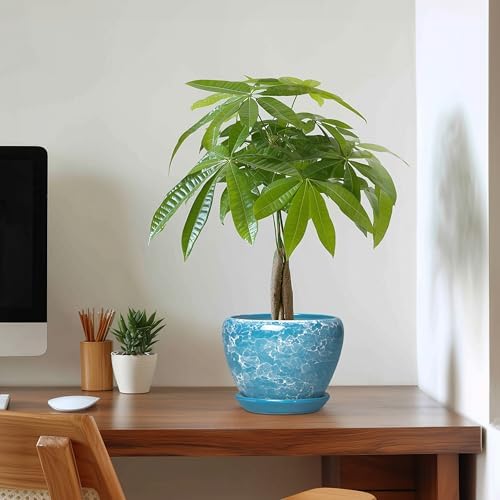 Ceramic Planters for Indoor Plants, 6 Inch Plant Pot, Bubble Blue - Image 7