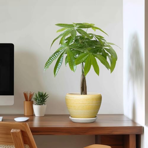 Ceramic Planter, 6 Inch Plant Pots, Textured Yellow - Image 3