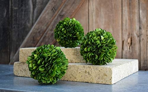 Real Boxwood Decorative Ball Large 10 inches Great for Wedding Home Decoration, Vase Bowl Filler Realistic Full Green Plant, Indoor Decor(Boxwood) - Image 5
