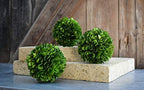 Real Boxwood Decorative Ball Large 10 inches Great for Wedding Home Decoration, Vase Bowl Filler Realistic Full Green Plant, Indoor Decor(Boxwood) - Image 5