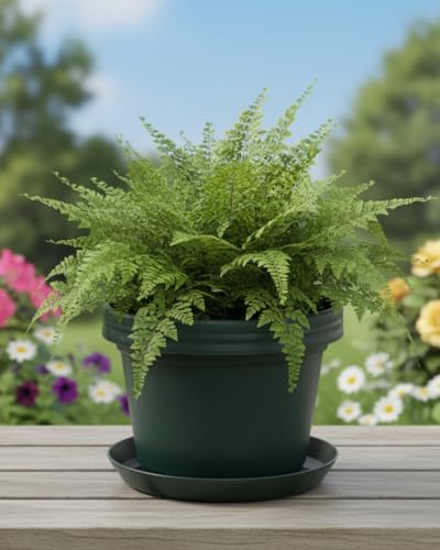 Flower Pots with Saucers, 7 inch, Hunter Green Case of 5 - Image 3
