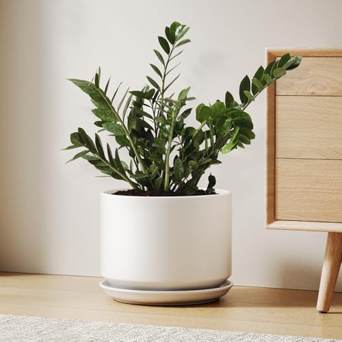 LE TAUCI 10 inch Plant Pot, Ceramic Pots for Plants, White by LETAUCI