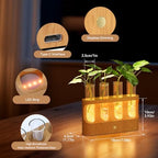Lightalent Rechargeable Plant Propagation Station, LED Hydroponic Terrarium - Image 3