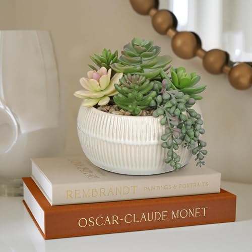 DILATATA Artificial Succulent Plants in Pot 5.5 Inch Fake Succulents Arrangement Potted Plant in White Ceramic Planter Bowl for Home Office Desk Shelf Living Room Bedroom Bathroom Decor - Image 6