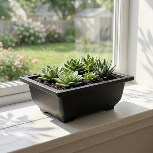 15pcs Rectangle Bonsai Planter Box Plastic with Mesh Bottom and Preset Drainage Holes, Portable Deep Tray Planter for Indoor Succulent and Bonsai Plants on Windowsill or Balcony - Image 5