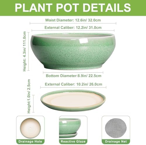 SQOWL Succulent Planter 12 Inch, Ceramic Bonsai Pots with Saucer, Green - Image 2