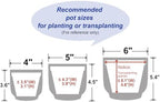 4 + 5 + 6 Inch Ceramic Pots for Indoor Plants, Succulents Plant Pots, Orchid Flower Pot with Drainage Hole, Modern Clay Stoneware Planters, Set of 3 (Reactive Glaze Grey Blue, 4 + 5 + 6 Inch） - Image 3
