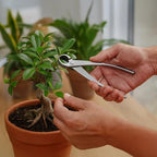 Gardening Bonsai Tools: 3 Cutter Kit, 8.3 In/21 Cm Includes for Shaping - Image 5