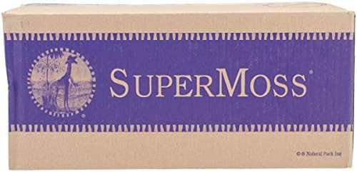 SuperMoss (21773) Reindeer Moss Preserved, Chartreuse, 3lbs by SuperMoss