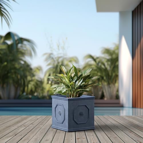 Kante Square Lion Head Concrete Planter, Classic English Style Plant Pot with Drainage Hole and Rubber Plug for Indoor Outdoor Garden Patio Home, 12.6"x12.6"x12.6" Gravel Gray - Image 4