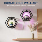 Shineled Wall Planter with Lights, Black Metal Wall Mounted Plant Stand with Adjustable Grow Light, Plant Holder for Indoor Living Room, Patio - 2 Pack - Image 3