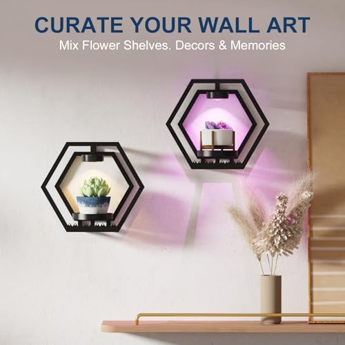 Shineled Wall Planter with Lights, Black Metal Wall Mounted Plant Stand with Adjustable Grow Light, Plant Holder for Indoor Living Room, Patio - 2 Pack - Image 3