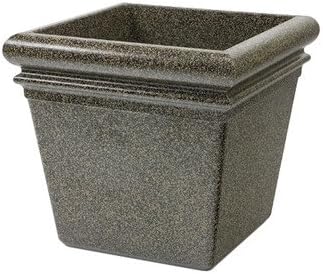 StoneTec Series Square Planter Box Color: Aspen by CommercialZone
