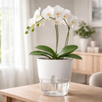 Planterhoma 5 Pack Self Watering Pots for Indoor Plants, 9 Inch Plant Pot Plastic Self Watering Planter for Orchid, Monstera, Lily, Large Clear Flower Pots with Drainage Holes and Wicking Rope, White - Image 2