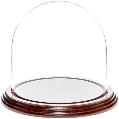 Plymor 5.5" x 5.5" Glass Display Dome Cloche (Dark Mahogany Veneer Base) by Plymor